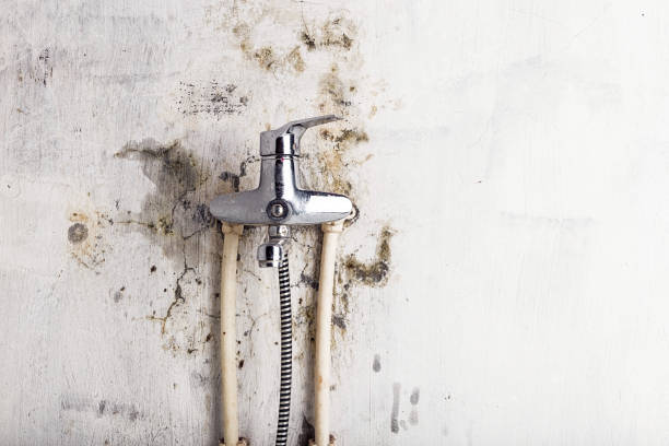 Home Mold Removal in Oceana, WV