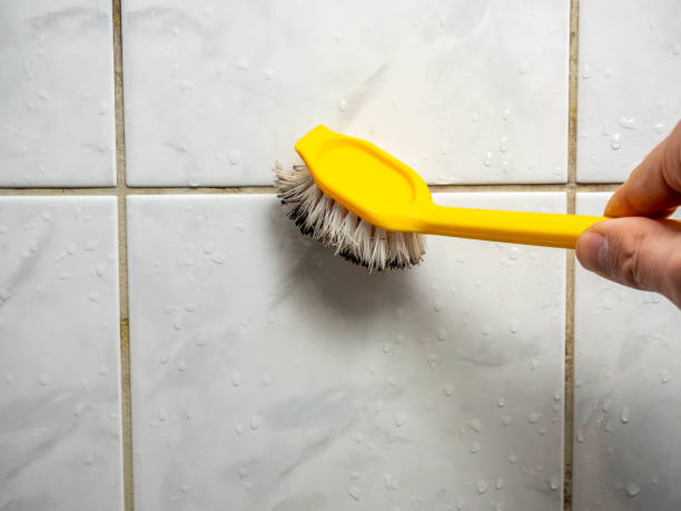 Best Mold Testing and Removal  in Oceana, WV