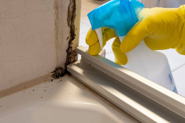 Best Mold Remediation  in Oceana, WV