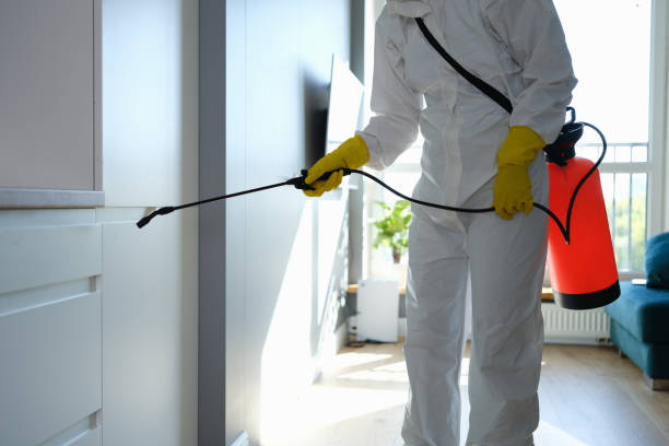 Best Local Mold Removal Service  in Oceana, WV