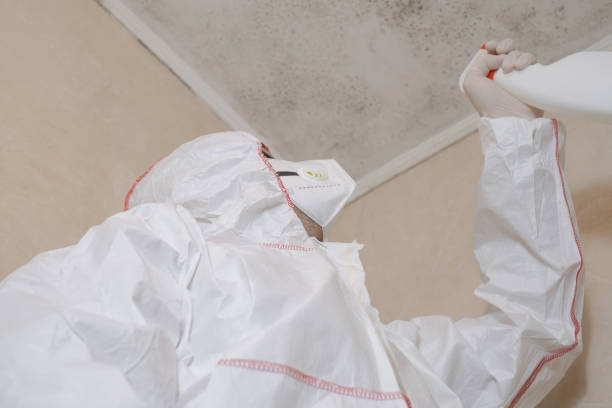 Best Same-Day Mold Removal  in Oceana, WV