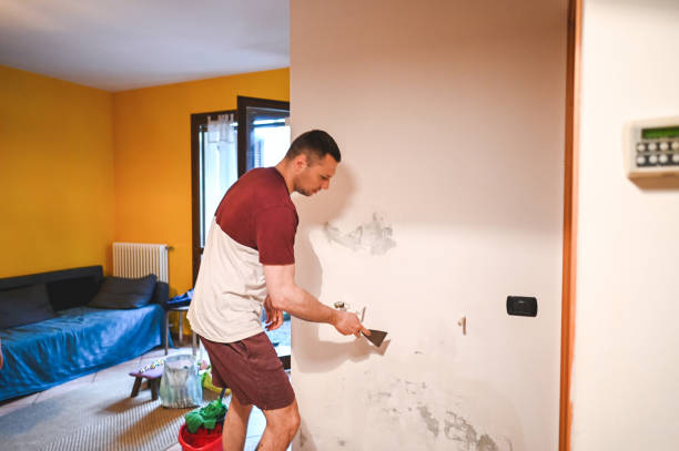 Best Same-Day Mold Removal  in Oceana, WV