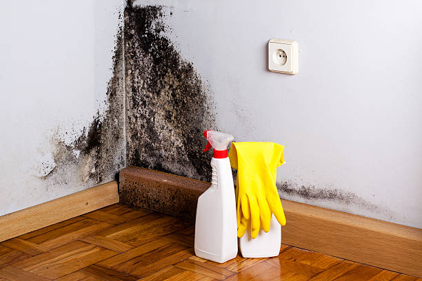 Water Damage Restoration in Oceana, WV